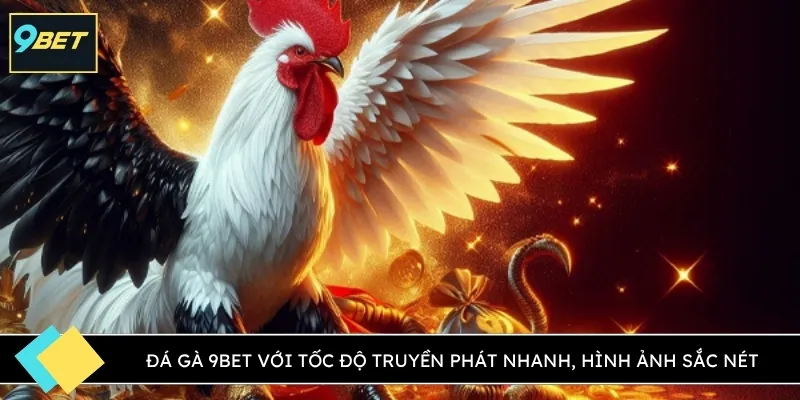 Đá gà 9BET với tốc độ truyền phát nhanh, hình ảnh sắc nét