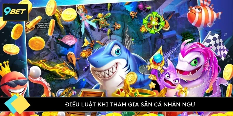 Điều luật khi tham gia săn cá nhân ngư