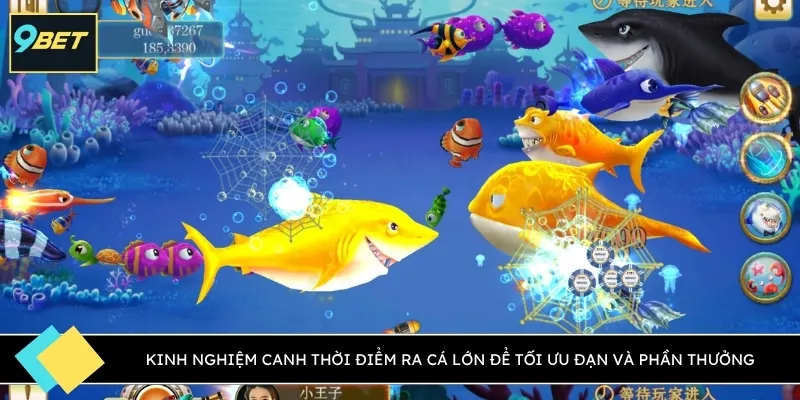 Kinh nghiệm canh thời điểm ra cá lớn để tối ưu đạn và phần thưởng