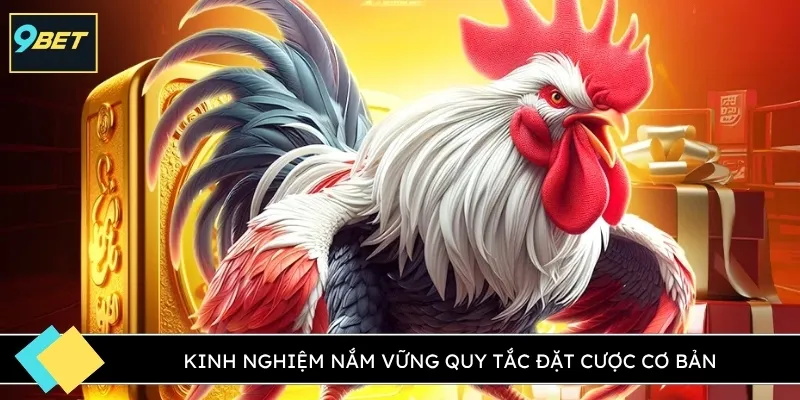 Kinh nghiệm nắm vững quy tắc đặt cược cơ bản