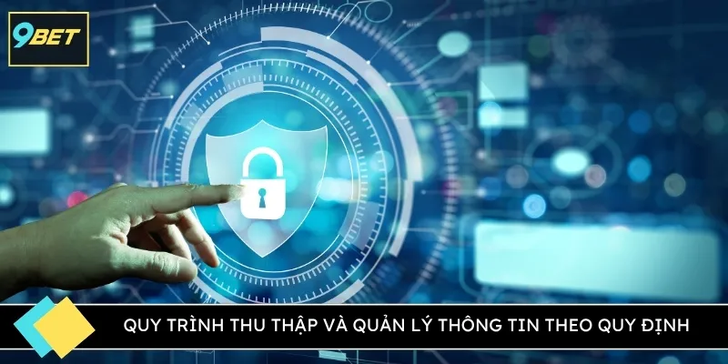 Quy trình thu thập và quản lý thông tin theo quy định